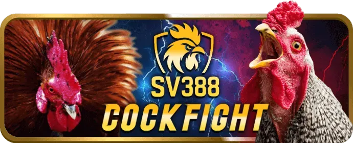 Hoàn trả hàng tuần casino kk98 win